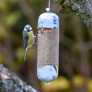 vogeltje eet van vetstaaf die in een boom hangt